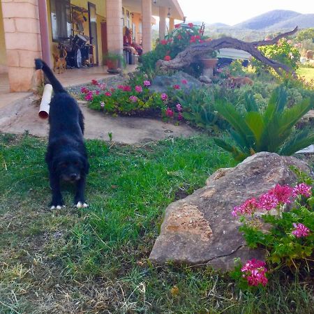 Agriturismo Sogno Latino Иглесиас Екстериор снимка