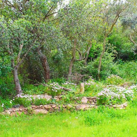 Agriturismo Sogno Latino Иглесиас Екстериор снимка